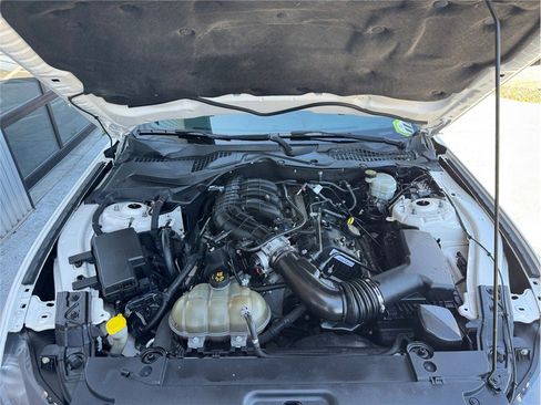 Used 2017 Ford Mustang Coupe w/ Equipment Group 051A RWD image 40