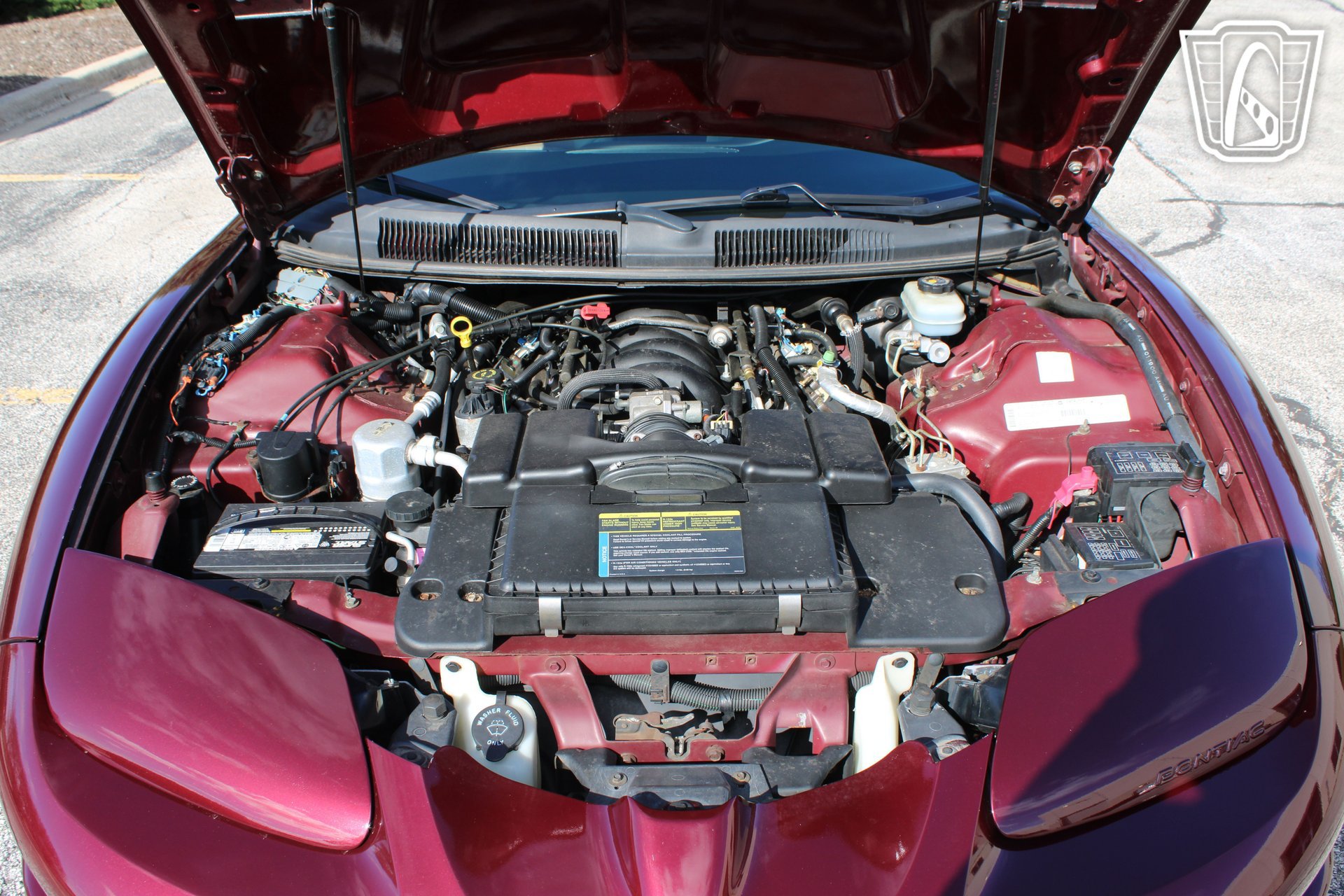 Used 2000 Pontiac Firebird Trans Am RWD image 10