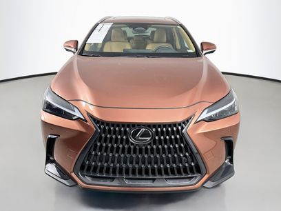 Certified 2025 Lexus NX 350h AWD w/ Cold Area Package