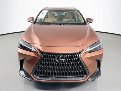 Certified 2025 Lexus NX 350h AWD w/ Cold Area Package image 2