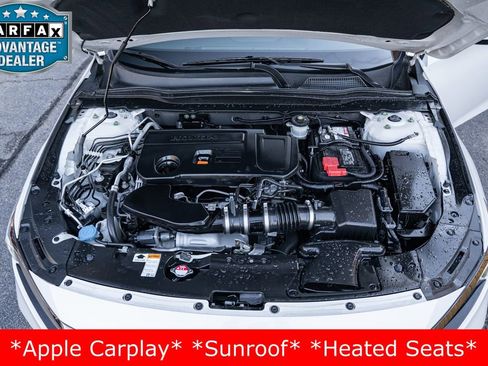 Used 2020 Honda Accord Sport image 29