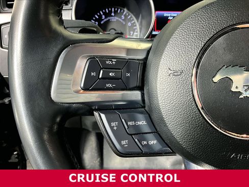 Used 2023 Ford Mustang GT Premium w/ Mustang Nite Pony Package RWD image 10