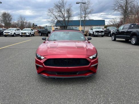 Used 2023 Ford Mustang Premium w/ Equipment Group 201A image 2