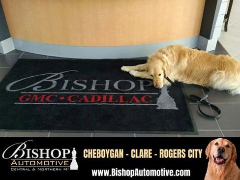 Used 2024 Nissan Pathfinder Rock Creek AWD/4WD image 43