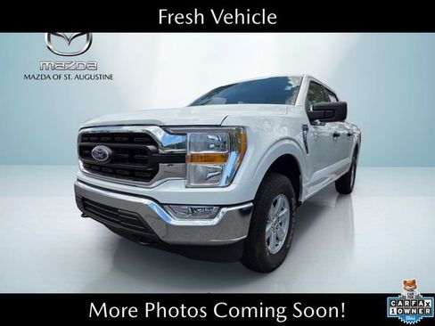Used 2021 Ford F150 XLT w/ Equipment Group 301A Mid AWD/4WD image 1