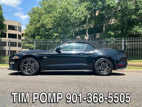 Used 2019 Ford Mustang GT Premium w/ Equipment Group 401A RWD image 7
