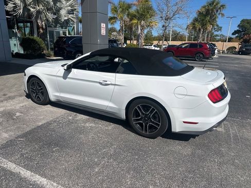 Used 2018 Ford Mustang Premium w/ Equipment Group 201A image 8