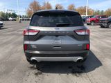 Certified 2022 Ford Escape SEL image 4