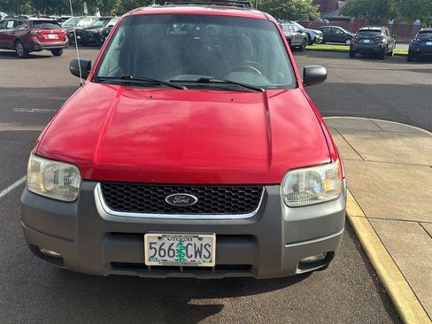 Used 2002 Ford Escape XLT AWD/4WD image 1