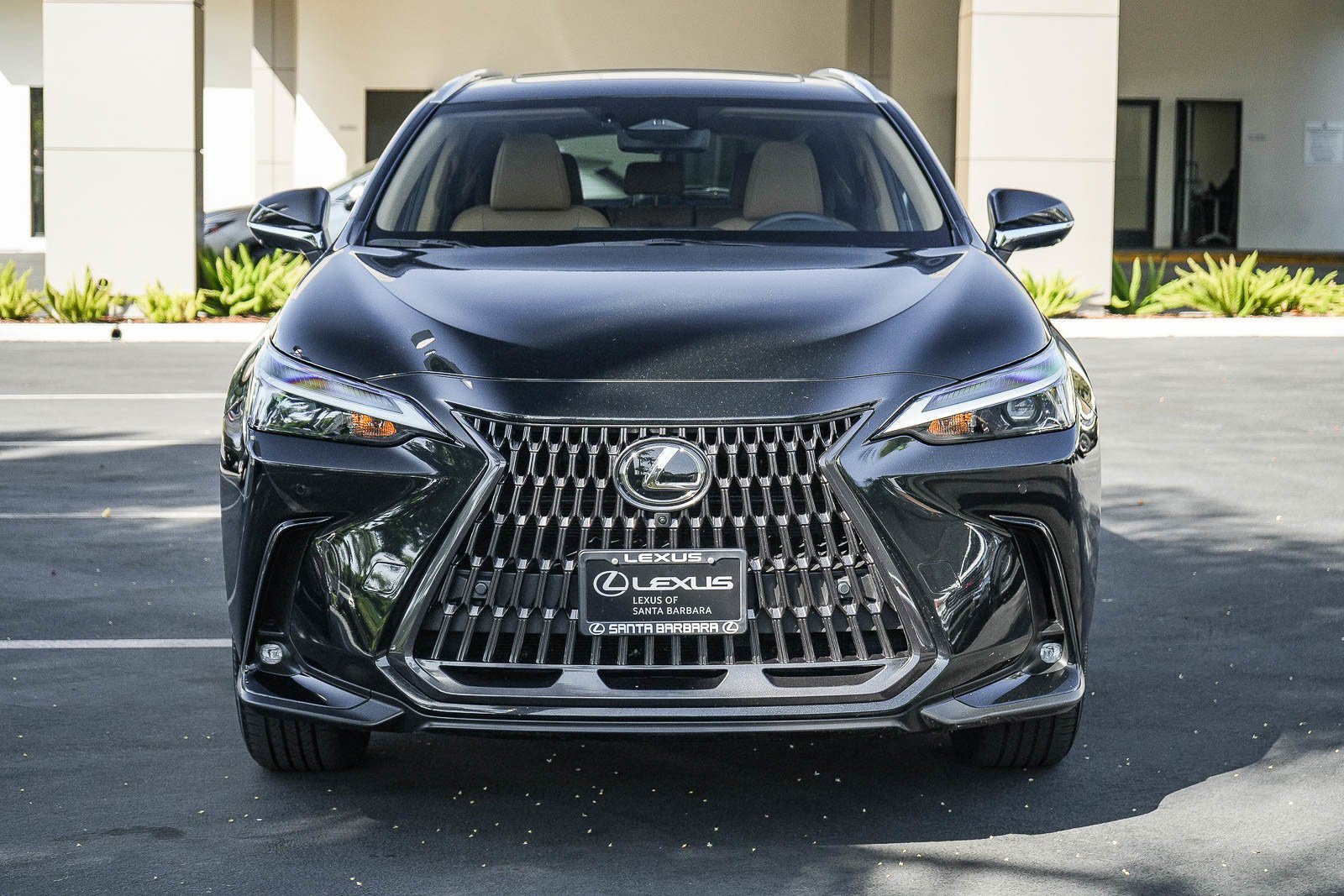 Used 2024 Lexus NX 350h AWD w/ Vision Package image 2