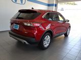 Used 2020 Ford Escape SE image 5