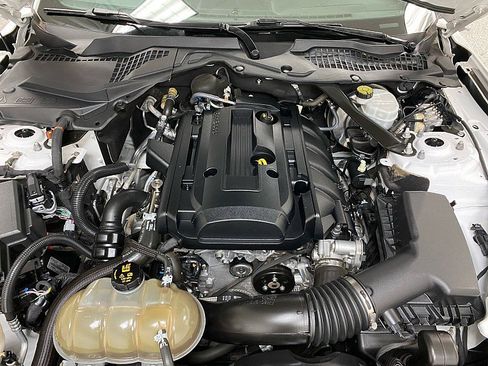 Used 2019 Ford Mustang Premium image 14