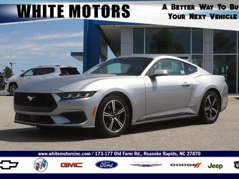 Used 2024 Ford Mustang Premium image 1