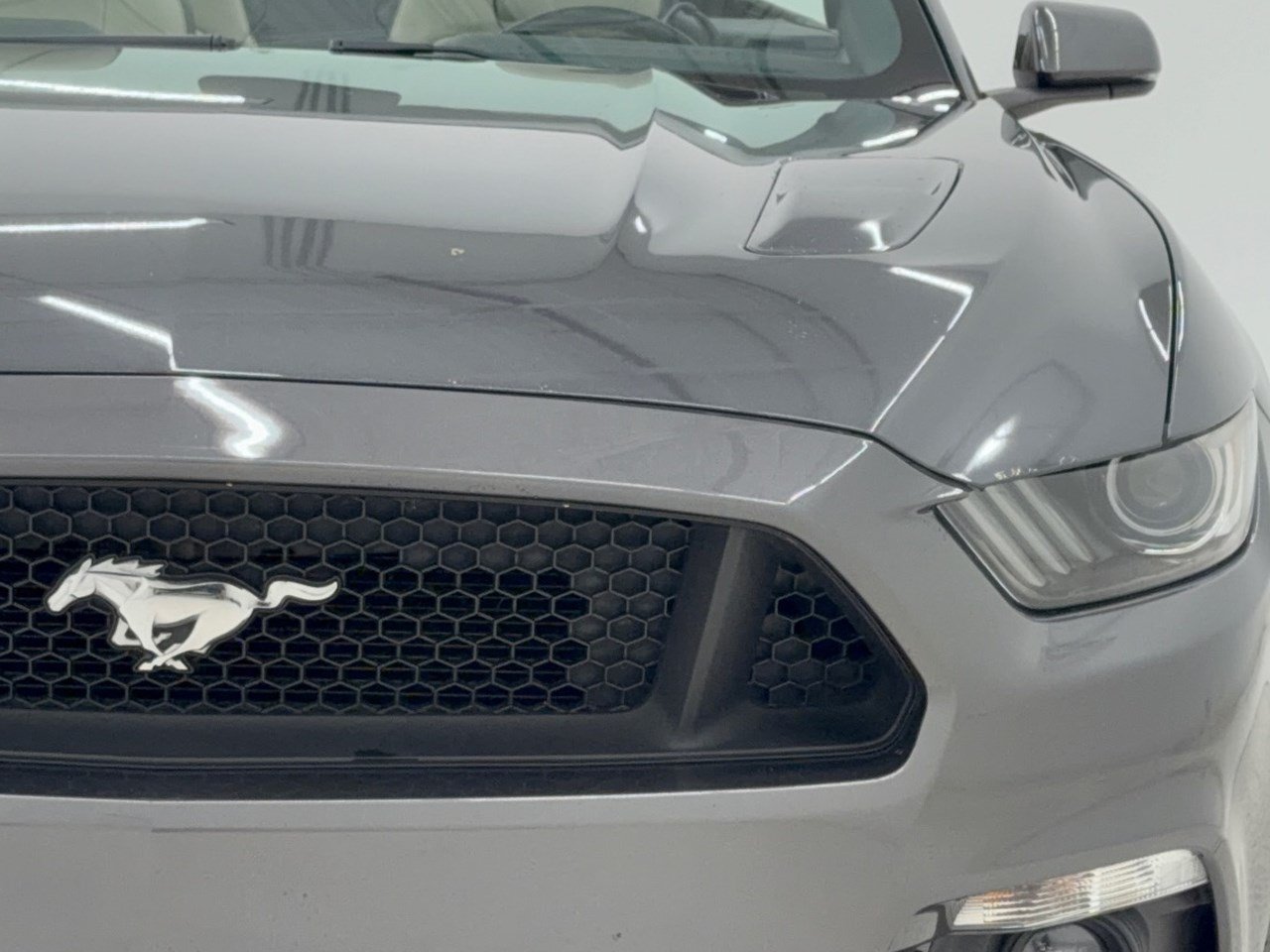 Used 2016 Ford Mustang GT Premium w/ Equipment Group 401A RWD image 12