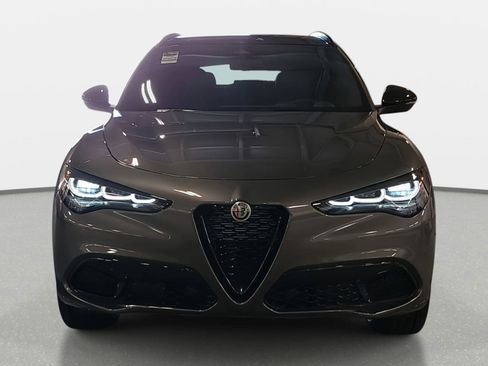 New 2025 Alfa Romeo Stelvio Sprint w/ Veloce Package image 2