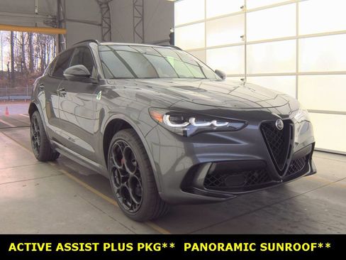 Used 2024 Alfa Romeo Stelvio Quadrifoglio w/ Active Assist Plus Package image 1