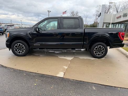 Used 2023 Ford F150 XLT w/ Equipment Group 302A High AWD/4WD image 4