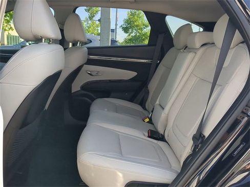 New 2024 Hyundai Tucson Limited image 14