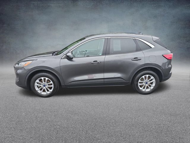 Used 2020 Ford Escape SE AWD/4WD image 4