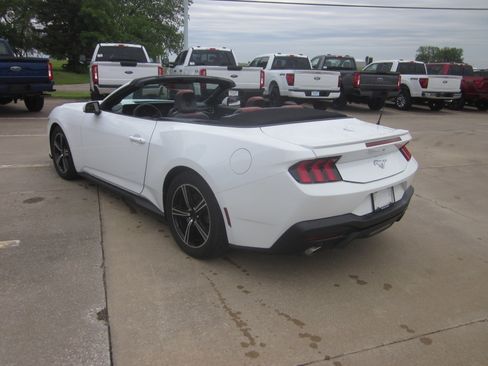Used 2024 Ford Mustang Premium RWD image 4