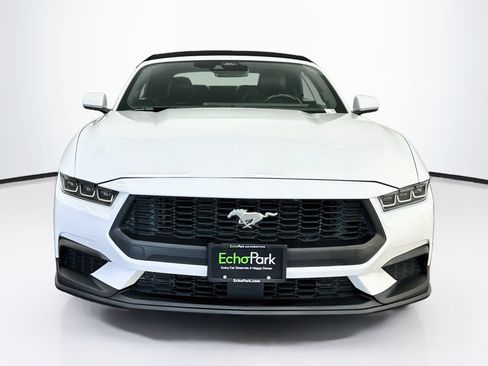 Used 2024 Ford Mustang Premium RWD image 2