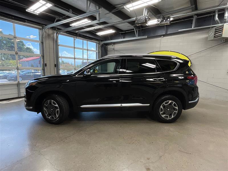 Used 2023 Hyundai Santa Fe Blue AWD/4WD image 2