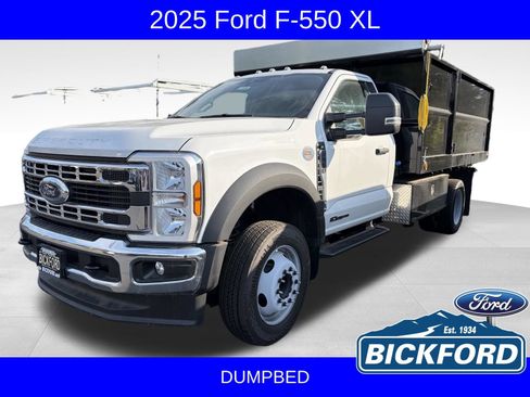 Used 2025 Ford F550 2WD Regular Cab Super Duty image 1