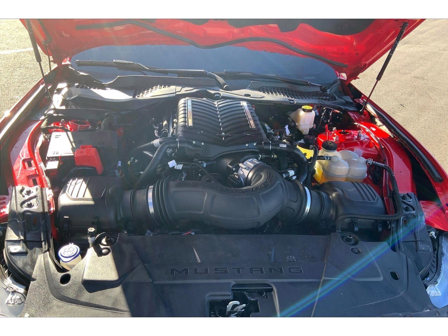 Used 2024 Ford Mustang GT Premium RWD image 12