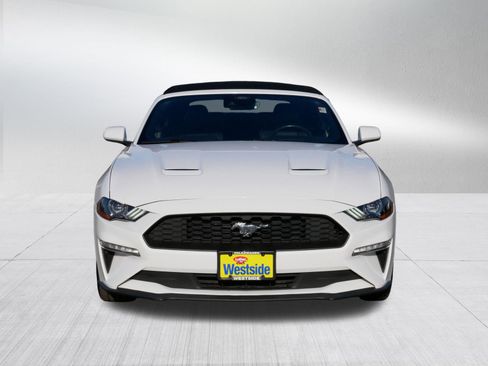 Used 2023 Ford Mustang Premium image 2