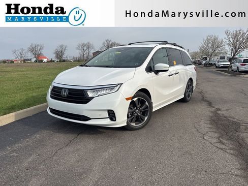 Used 2024 Honda Odyssey Elite image 1