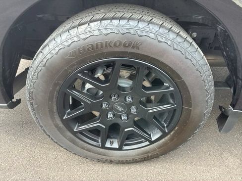 Used 2024 Ford F150 STX w/ STX Black Appearance Package AWD/4WD image 12