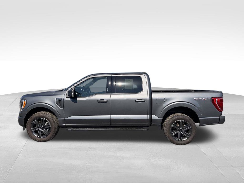 Used 2023 Ford F150 XLT w/ Equipment Group 302A High AWD/4WD image 13