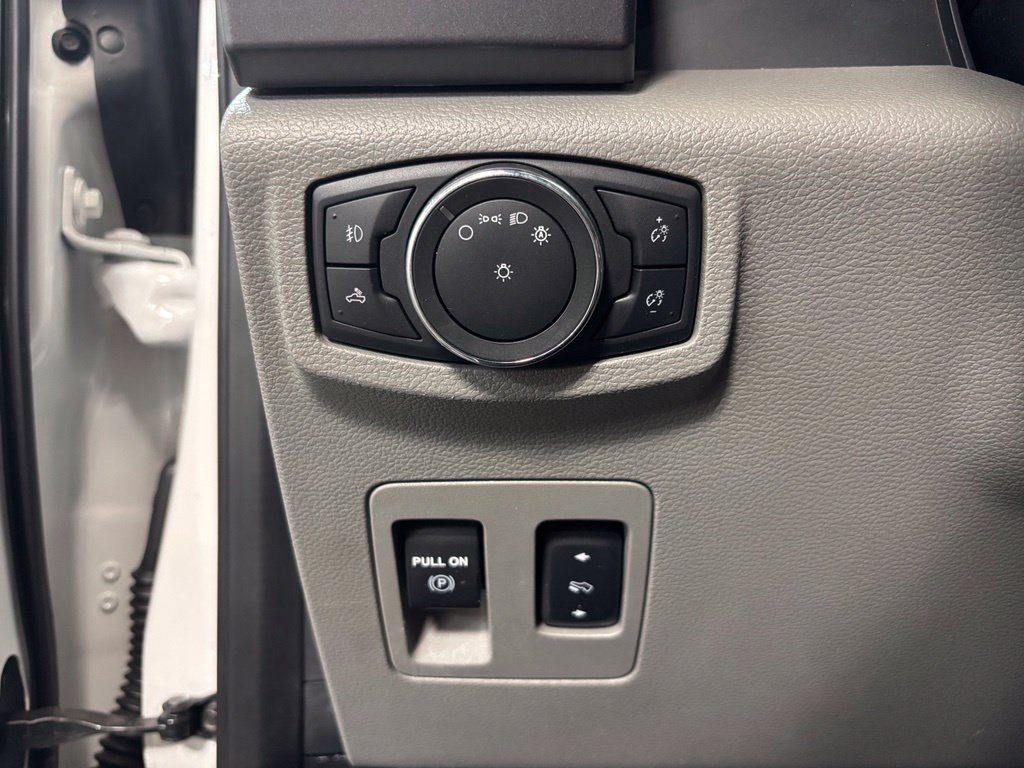 Used 2019 Ford F150 XLT w/ Equipment Group 302A Luxury AWD/4WD image 21