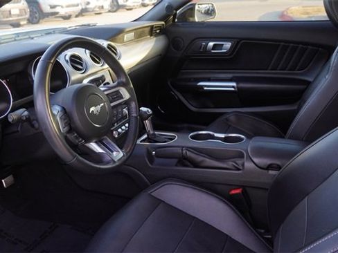 Used 2023 Ford Mustang GT Premium w/ Mustang Nite Pony Package image 14