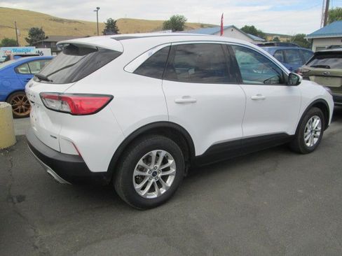 Used 2020 Ford Escape SE AWD/4WD image 3