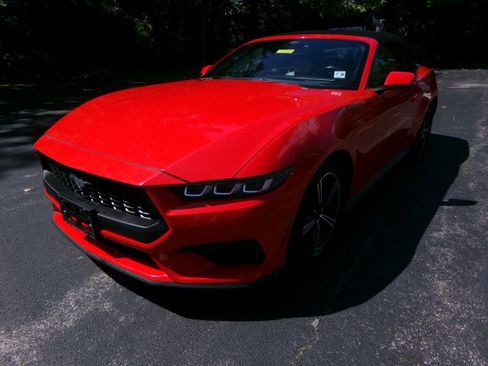 Used 2024 Ford Mustang Premium RWD image 5