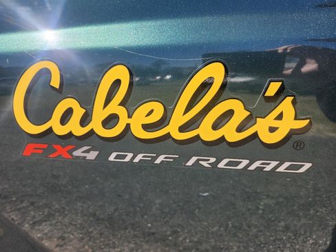 Used 2010 Ford F350 Cabela's image 9