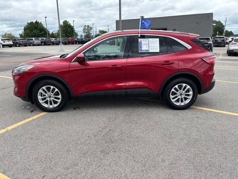 Used 2020 Ford Escape SE AWD/4WD image 13