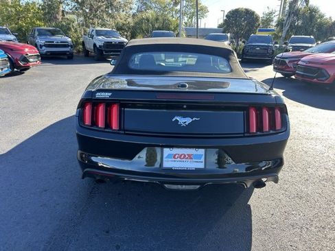 Used 2017 Ford Mustang Premium image 5
