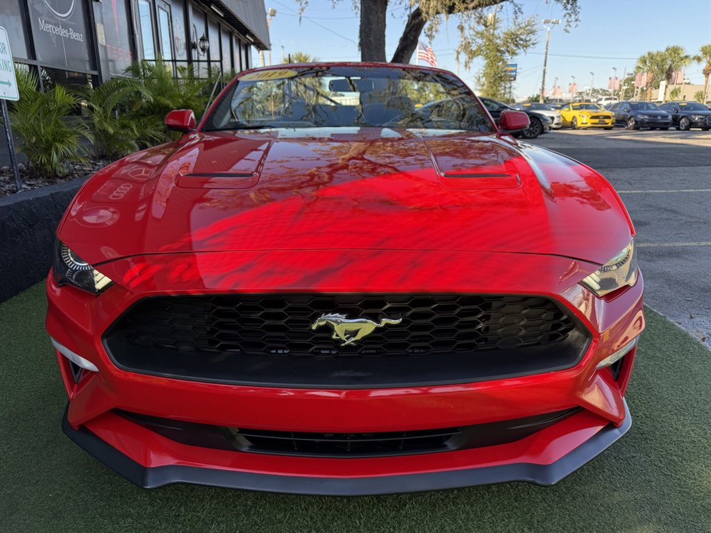 Used 2019 Ford Mustang Convertible RWD image 2