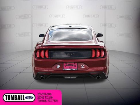 Used 2019 Ford Mustang Coupe w/ Black Accent Package image 6