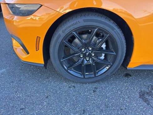 New 2026 Ford Mustang EcoBoost w/ Mustang Nite Pony Package image 10