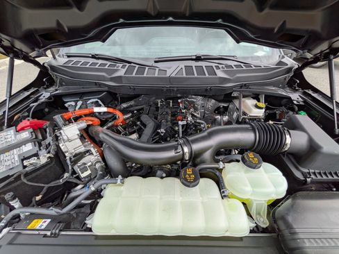 Certified 2025 Ford F150 XLT w/ Equipment Group 301A Standard image 5