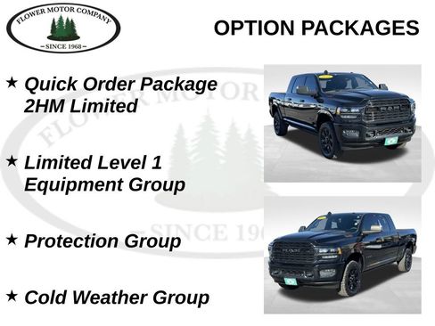 Used 2021 RAM 2500 Limited image 8