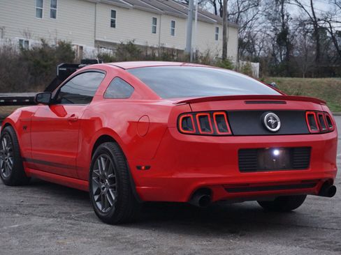 Used 2014 Ford Mustang Premium w/ Equipment Group 203A image 9