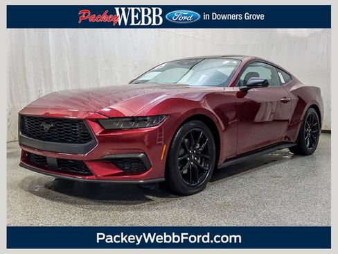 Used 2025 Ford Mustang Premium w/ Mustang Nite Pony Package RWD image 1