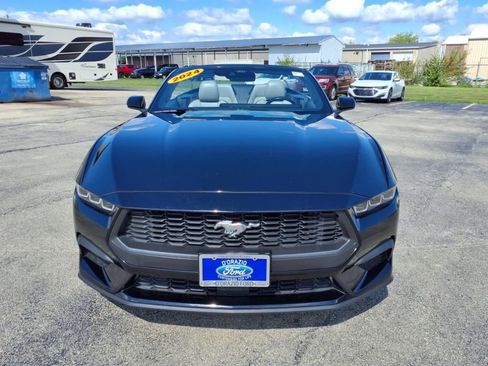 Used 2024 Ford Mustang Premium image 8