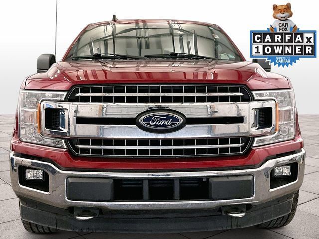 Used 2019 Ford F150 XLT w/ Equipment Group 302A Luxury AWD/4WD image 4