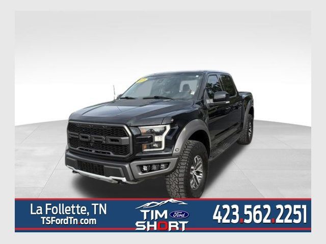 Used 2018 Ford F150 Raptor w/ Equipment Group 802A Luxury AWD/4WD image 1