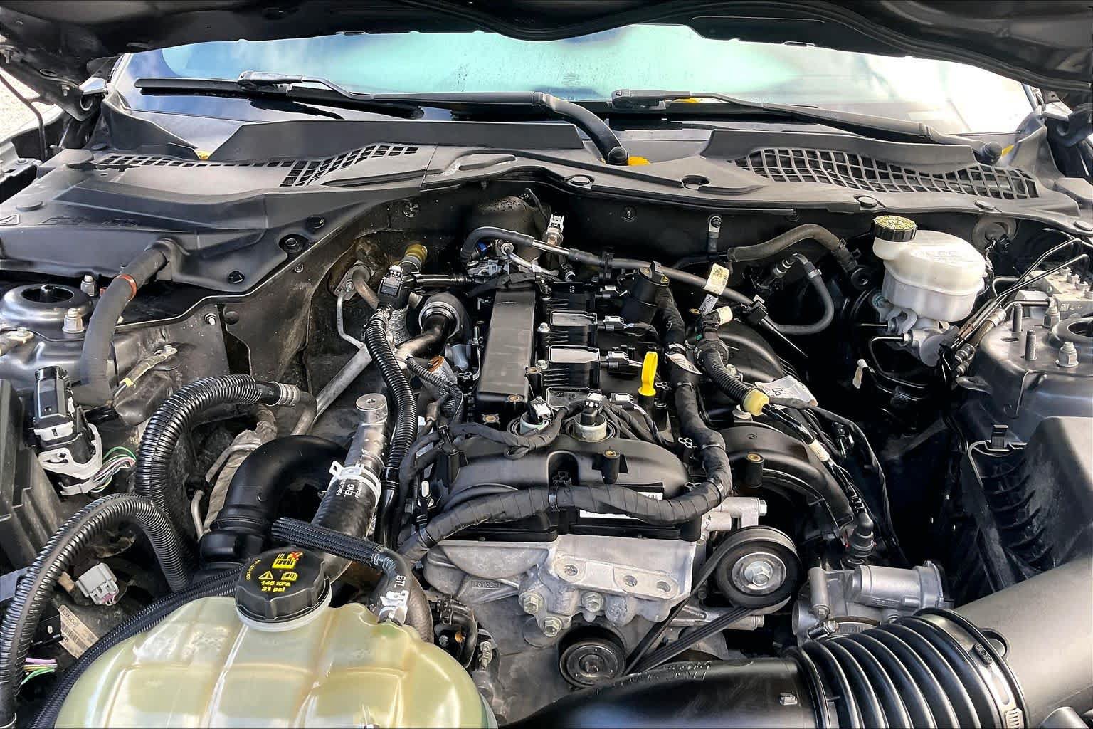 Used 2021 Ford Mustang Coupe w/ Equipment Group 101A RWD image 32
